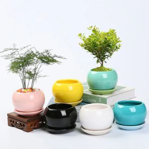 Plantadores de cerâmica pequenos vasos de plantas gelo crack suculento minúsculo cacto vaso de flores pequenos vasos para plantas com bandejas, perfeito para escritório em casa d