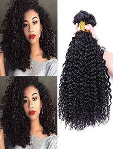 Brazylijskie 100 ludzkie włosy Bundle Brazylijskie przedłużanie włosów Virgin Fair 1 sztuk 100 g Brazylian Kinky Curly Remy Weave 2630875