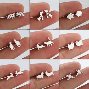 Stud Küpe 2024 Moda Sevimli Hayvan Bir Hafta Kız Wildcat Ear Studs Takı Toptan