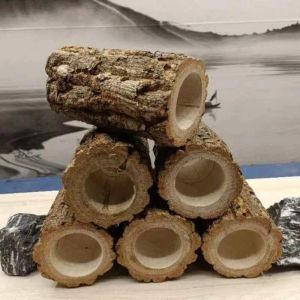 Decor Rettili Nascondi Grotta Naturale Champagne Foro in legno per Drago barbuto Lucertola Tartaruga Accessori per terrari Decorazione