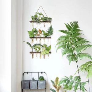 Filmer Maghat Wall Hanging Planter Terrarium med trästativ, 3 Tiered Mini Test Tube Flower Vases Retro Glass Propagator för odling