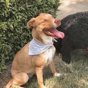 Hundkläder Personlig bandana seersucker presentnamn Anpassade ränder Preppy Texture Bib Pet Sharf Black Grey White Charcoal