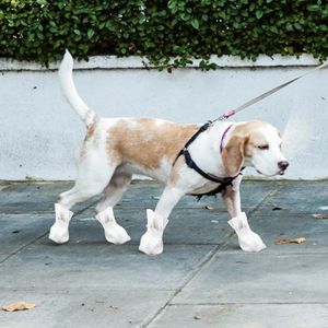 Köpek giyim 4 PCS Pet Ayak Kapağı Tek Kullanımlık Botlar Ayakkabı Küçük Köpekler İçin Ayakkabı Yavru Köpek