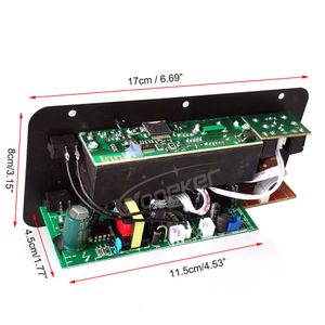 Woopker Audio Amplifier Board 30-120W Support Dual Microphone Bluetooth Amplificatore Subwoof för 4OHM Högtalare 12V 24V 110V 220V