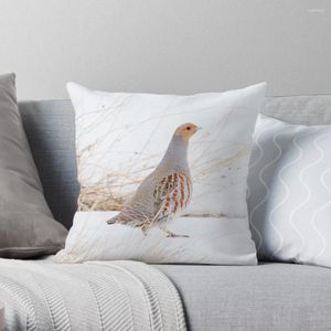 Pillow Grey Partridge Throw Covers For Living Room S ChildrenHome, Furniture & DIY, Home Décor, Cushions!