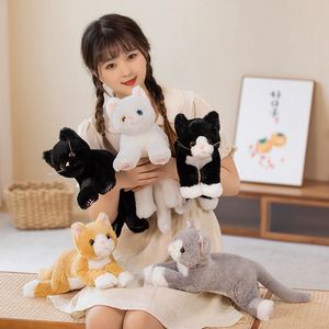 53 cm simpatico bambola da gatto giocattolo peluche di peluche peluche morbido peluche grigio grigio gattino cuscino per bambini regalo regalo di compleanno giocattoli per animali domestici deco