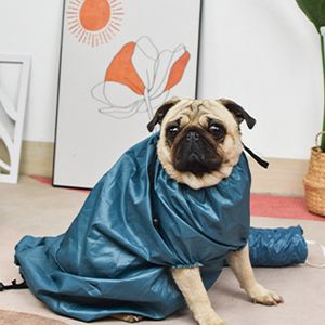 saco de secagem para animais de estimação fornece secador de cabelo para gatos e chuveiro para cães Amazon transfronteiriço