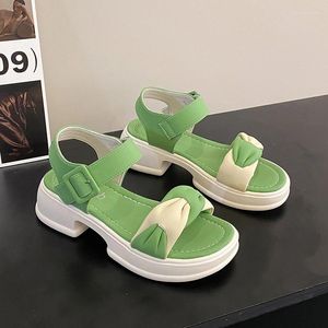 Sapatos casuais sandálias de salto plano 2024 coringa feminino com celebridade on-line salto grosso moda fada vento e saia no verão.