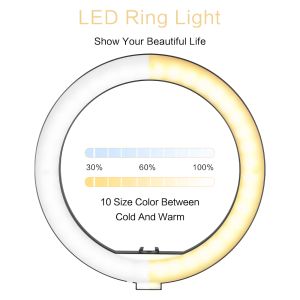 10 polegadas de luminária de vídeo LED LED LED com clipe de telefone do tripé para o YouTube LIVE LIVIM