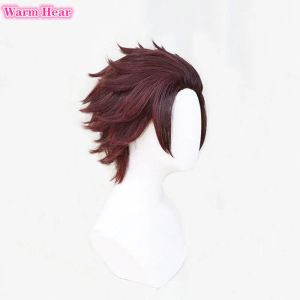 Kamado Tanjirou Cosplay -Perücke kurz 30 cm Kastanienbraunperücke mit Ohrringen Hitzebeständiges Haar Halloween Party Perücken + kostenlose Perücke Kappe