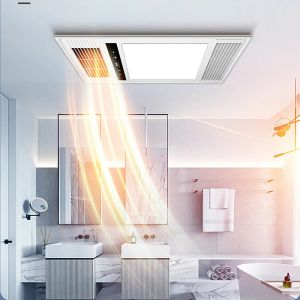 Moderne kreative Badezimmer Deckenlampe Heizlampe Yuba Innenablöhventilator Wohnzimmer Küche Heizung Auspuff LED Deckenleuchte