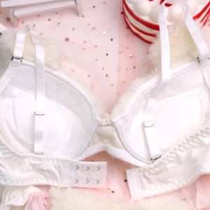 Womens 2pcs Bra Panty Set Bear Embroidery Faux Fur Underwire Underwear Plush Ball Bow Japanese Anime