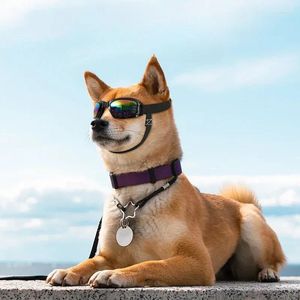 Hundkläder solglasögon fällbara vindtäta skyddsglasögon stilig lättvikt UV -skyddsglasögon Petprodukter Tillbehör Valpförsörjning