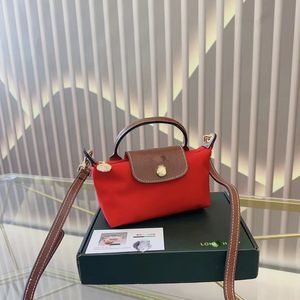 Borse di design di lusso borse lunghe champs borsa a tracolla nera longchampp Borsa con stampa esplosione di moda femminile di alta qualità Borsa classica di grande capacità