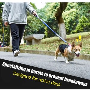 Coleiras de cachorro esporte reflexivo cinto de corrida trela carro animal de estimação