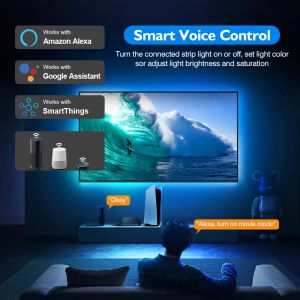 RGB IC Smart TV LED Backlight Strip Lights Support HDMI 4K/HDR/TV BOX/Alexa/Google Wifi Screen Color Sync LED Light Kit