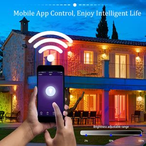 TUYA WIFI SMART LED LEDLIGHT REFLEKTOR 220V 30W 50W 100W RGB Dimble Spotlight Outdoor Lighting Work med Alexa Google Home