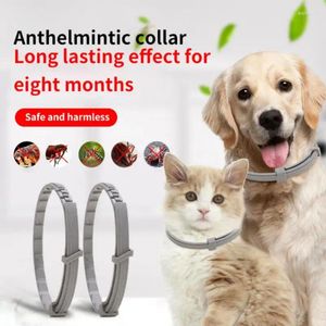 Dog Collars Releases Pet Collar Anti-flea And Tick Month Protection Can Be Automatically Adjusted Dogs Accessories