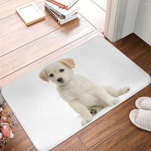 Tapetes de banho Labrador Retriever Filhote de Cachorro Tapete de Banheiro para Chuveiro Casa Entrada Lavável Pé Absorvente Não-Slip WC