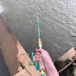 Çubuklar Yüksek Karbon F Tune Dökme Yem Kutbu Cazibe Ağırlığı 520g Sörf Besleyici Pole Jig Pole Rezervuar nehir Gölü Balıkçılık