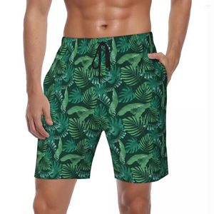 Men's Shorts Board Green Palm Leaves Hawaii Swim Trunks Tropical Leaf Print Fast Dry Sports Fitness Short Pants