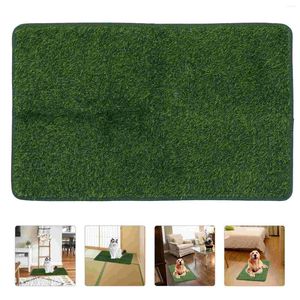 Dekorativa blommor Pet Mat Delicate Grass Pad slitbeständiga tillbehör konstgjorda för hundar kissa