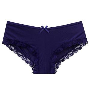 Lace Trim Panties For Women Floral Lace Underwear Plus Size Hipster Panty for Ladies Breathable Soft Stretch Panty Underpants