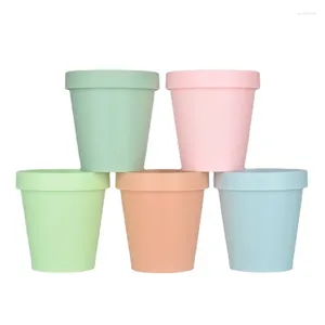 Förvaringsflaskor 20st Frost Blue Green Pink Orange Wide Mouth Mouth Kosmetic Pots Tomma hudvård ansiktskräm burkar Plastbehållare med lock