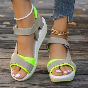 Sapatos casuais moda verão grosso sola doce cor plus size confortável simples todos os dias com colocação de estilo básico