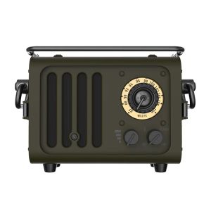 Altoparlanti 2023 Nuovo altoparlante Bluetooth metallico portatile Radio WD101gn Retro Wild FM Radio per decorazioni da tavolo da regalo creativo all'aperto