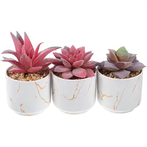 Flores decorativas 3 PCs suculentas plantas artificiais falsos falsos em vasos em vasos para decorações domésticas