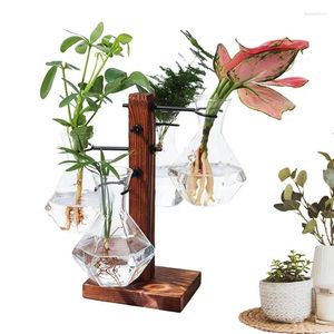 Wazony pulpit Zestaw hydroponiczny hydroponiczny Zestaw sadzarki nowoczesny szklany wazon zlewki z drewnianym stojakiem
