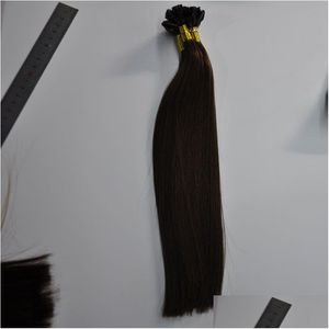 Förbundna hårförlängningar 0 9G Strand 200 Strands Pre Bonded Nail U Tip Indian Humanhair 14 16 18 20 22 24 26Im 1B 2 4 Drop Deliver