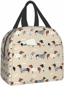 Dachshunds Isolated Tote Lunch Bag for Women Men, återanvändbar Portable Thermal Cooler Box For Work Picnic Travel B5SG#