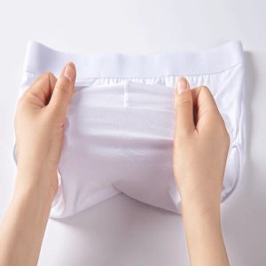 4 PCs/Los Männer große Größe Unterwäsche sexy Dessous Boy Panties Slips unter-präpant