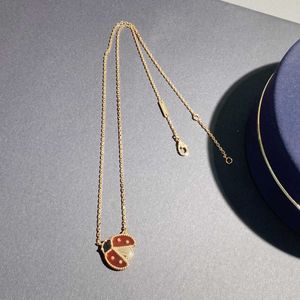 디자이너 Charm v Gold Edition Lucky Seven Star Ladybug Necklace for Women 18k Rose Light Luxury Red Jade Corolla Chain Jewelry