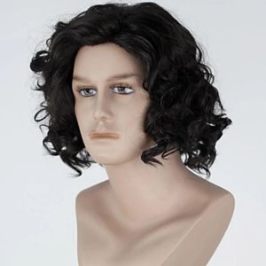 HAIRJOY Synthetic Hair Wigs Brown Short Curly Layered Wig for Men