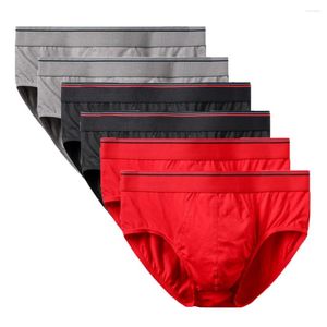 Külot 6pcs yüksek kaliteli pamuklu seksi kayma brifingler iç çamaşırı erkekler kısa şort