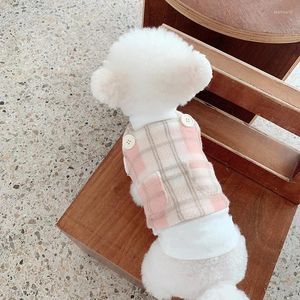 Vestuário para cães colete curto chihuahua roupas roupas de gato pequeno traje filhote de cachorro saia yorkie yorkshire pomeranian