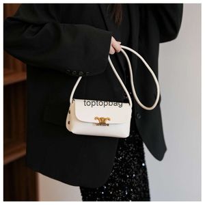 Designer Luksusowe torby mody Modna torba dla kobiet 2024 Nowa jesień/zima Mała kwadratowa torba z poczuciem luksusowej niszowej i wszechstronnej torby krzyżowej