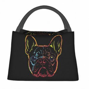 Красочный французский бульдог Ланч-сумка Собака Досуг Ланч-бокс для унисекс Пикник Портативная сумка-холодильник Графический термосумки k9sP #