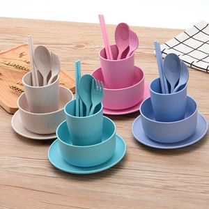 6pcs/set Wheat Straw Tableware Household Dishware Set Simple Dishes Salad Soup Bowl Steak Plate for Children Toddlers