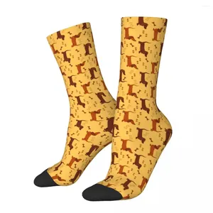 Herrensocken, verrückte Socken für Männer, niedlicher Dackel, Hund, Schokolade, Hip Hop, Harajuku, glückliches Muster, bedruckt, Jungen, Crew, lässiges Geschenk