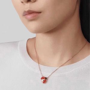 Hot v Gold Edition Lucky Seven Star Ladybug Colar para mulheres revestidas com 18k Rose Light Luxury Red Jade Corolla Chain