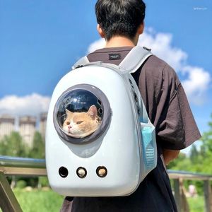 Cat Carriers Plastic Carrier Outdoor Rain Cover Lightweight Ventilation Fashion Backpack Transparent Portable Sac Chat Pet