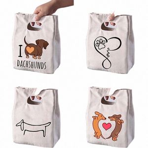 Dachshunds Fresh Cooler Bag Canvas Portable Insulated Thermal Lunch Bags for Women Kids Bento Box Tote Picnic Food Storage Pouch＃