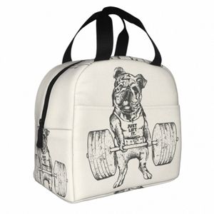 Bulldog inglese Ascensore Lunch Bag portatile caldo dispositivo di raffreddamento termico isolato Lunch Box per le donne Bambini Scuola Lavoro Picnic Food Tote Borse Y9Bn #