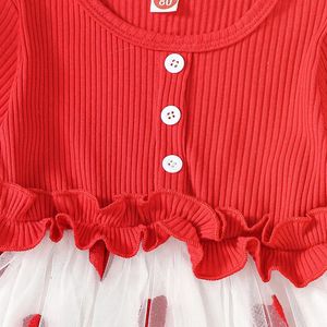 04Y Baby Girls Casual Dress Valentine S Day Long Sleeve Ruffle Heart Print Tulle Tutu Mesh Dresses Kids kläder 240326