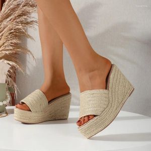 Freizeitschuhe Beige Sandaletten 2024 Damen Samt Große Größe All-Match Clogs Keil Schwarz Wildleder Große Mädchen Außerhalb Mode Sommer