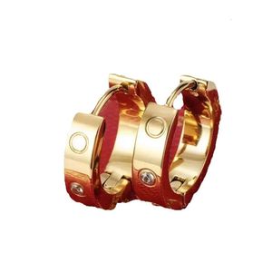 Gold Sier Stud Jewelery for Women Men أقراط حفل زفاف مُصمم الهدايا مجوهرات Orecchini